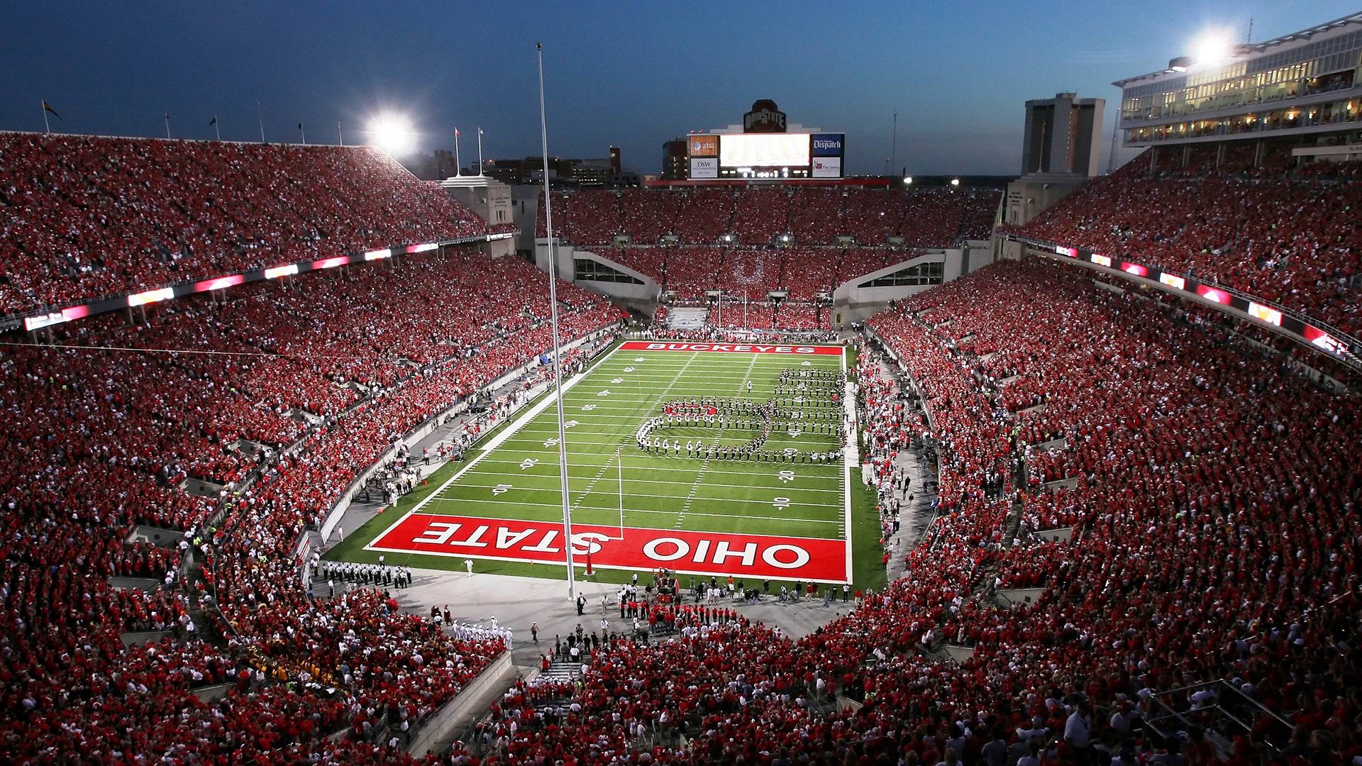 仰泳赛道波兰选手节奏精准，speedo仰泳